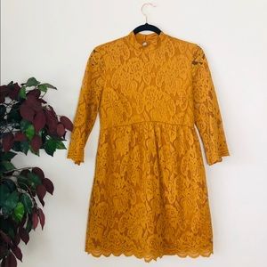 Taylor & Sage Lace Dress